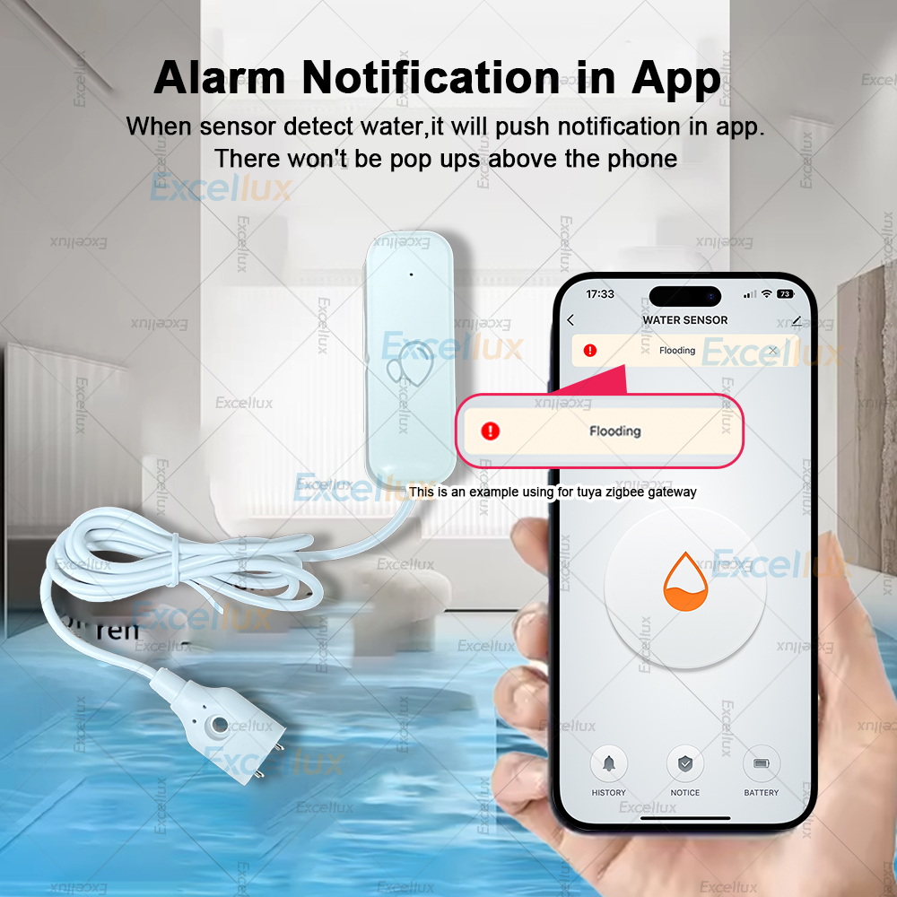 Zigbee Smart Water Leak Sensor - Water Alarm Sensor review and price