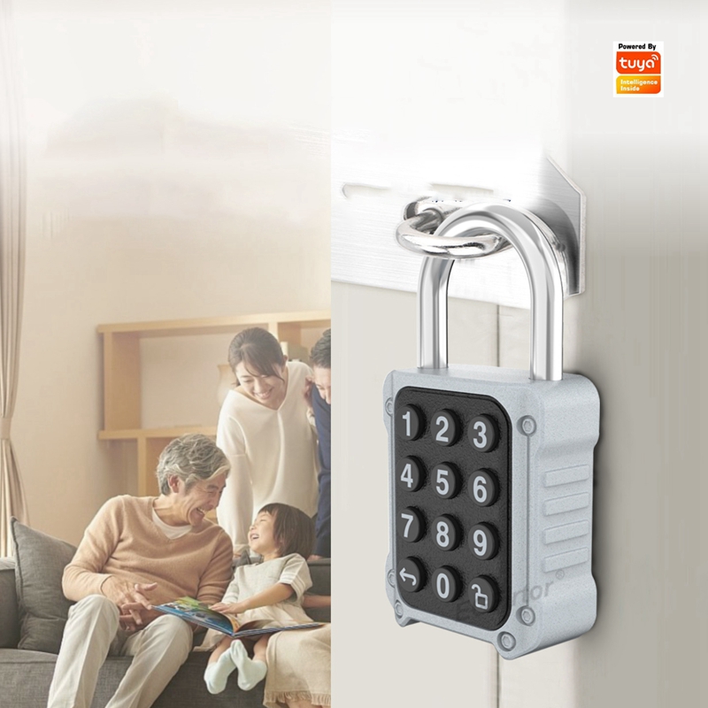 Tuya Bluetooth APP Remote Elec - Lockbox Key Secure review and price